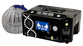 Increase Your Vital Jing Energy